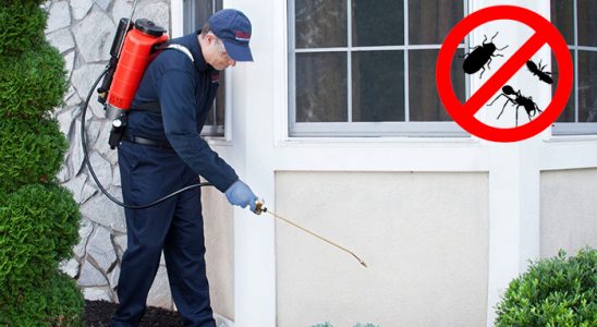 Kelkit Böcek ve Haşere İlaçlama böcek ilaçlama ve haşere kontrolü — ilaclama-tr.com